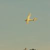 45. internationale Hahnweide Segelflugwettbewerb