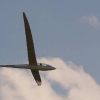 1dfh-hw-sfw2011-mo23