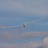 45. internationale Hahnweide Segelflugwettbewerb