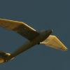45. internationale Hahnweide Segelflugwettbewerb