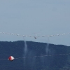 45. internationale Hahnweide Segelflugwettbewerb