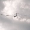 Hahnweide-Segelflugwettbewerb 2012