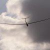 Hahnweide-Segelflugwettbewerb 2012