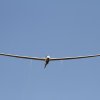 Hahnweide-Segelflugwettbewerb 2012