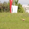 Hahnweide-Segelflugwettbewerb 2012