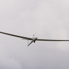 Hahnweide-Segelflugwettbewerb 2012