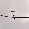 Hahnweide-Segelflugwettbewerb 2012