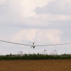 Hahnweide-Segelflugwettbewerb 2012