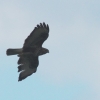 Hahnweide-Segelflugwettbewerb 2012