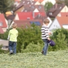 Hahnweide-Segelflugwettbewerb 2012