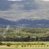 Hahnweide-Segelflugwettbewerb 2012