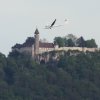 Hahnweide-Segelflugwettbewerb 2012