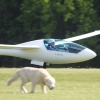 Hahnweide-Segelflugwettbewerb 2012