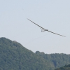 Hahnweide-Segelflugwettbewerb 2012