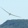 Hahnweide-Segelflugwettbewerb 2012