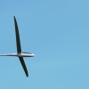 Hahnweide-Segelflugwettbewerb 2012