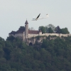 Hahnweide-Segelflugwettbewerb 2012