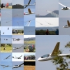 Hahnweide-Segelflugwettbewerb 2012