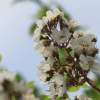 48. Hahnweide-Segelflugwettbewerb 25.05.2014