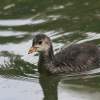 48. Hahnweide-Segelflugwettbewerb 25.05.2014