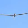 48. Hahnweide-Segelflugwettbewerb 25.05.2014