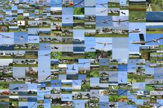 48. Hahnweide-Segelflugwettbewerb 2014