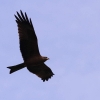48. Hahnweide-Segelflugwettbewerb 25.05.2014