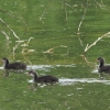 48. Hahnweide-Segelflugwettbewerb 25.05.2014