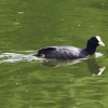 48. Hahnweide-Segelflugwettbewerb 25.05.2014