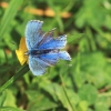 48. Hahnweide-Segelflugwettbewerb 25.05.2014