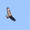 48. Hahnweide-Segelflugwettbewerb 25.05.2014