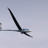 48. Hahnweide-Segelflugwettbewerb 25.05.2014