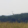 49. Internationaler Hahnweide-Segelflugwettbewerb 16.05.2015