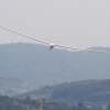 49. Internationaler Hahnweide-Segelflugwettbewerb 16.05.2015