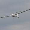 49. Internationaler Hahnweide-Segelflugwettbewerb 16.05.2015
