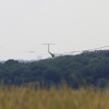49. Internationaler Hahnweide-Segelflugwettbewerb 16.05.2015