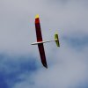49. Teckpokalfliegen