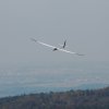 49. Teckpokalfliegen
