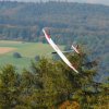 49. Teckpokalfliegen