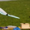 49. Teckpokalfliegen