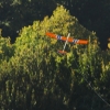 49. Teckpokalfliegen