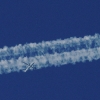 49. Teckpokalfliegen