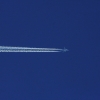 49. Teckpokalfliegen