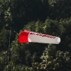 49. Teckpokalfliegen