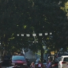 49. Teckpokalfliegen