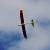 49. Teckpokalfliegen