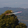 49. Teckpokalfliegen