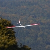 49. Teckpokalfliegen