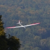 49. Teckpokalfliegen