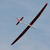 49. Teckpokalfliegen